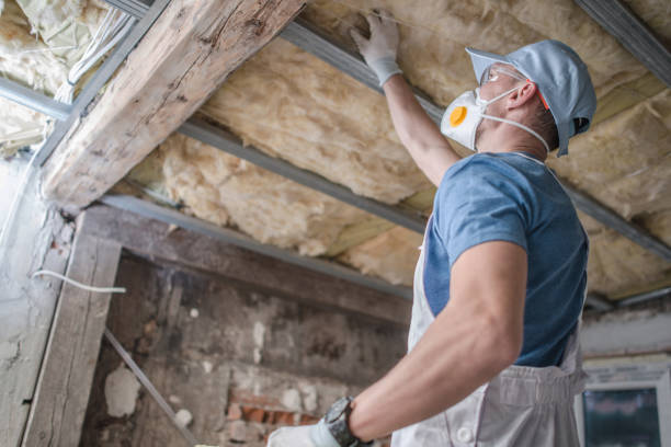 Best Specialty Insulation in Clayton, CA